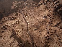 每日練習(xí)：地址勘察