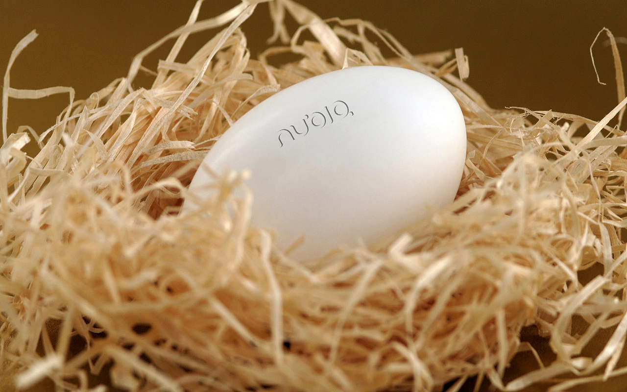 nubia 无处不在图片