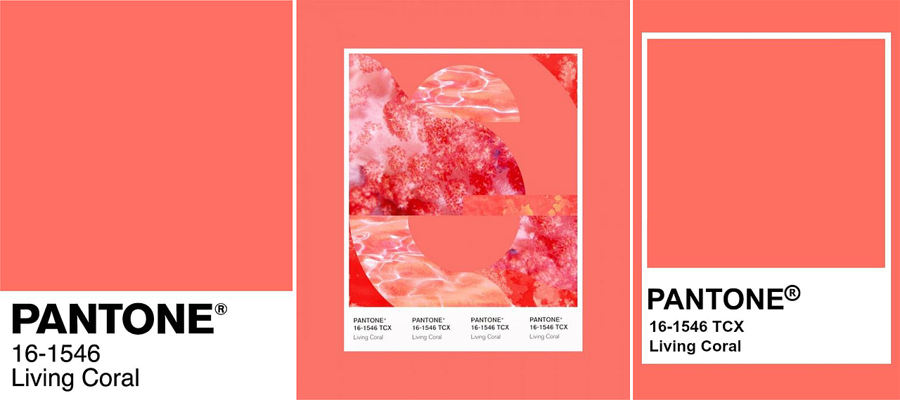 2019潘通流行色珊瑚橙之软装搭配设计