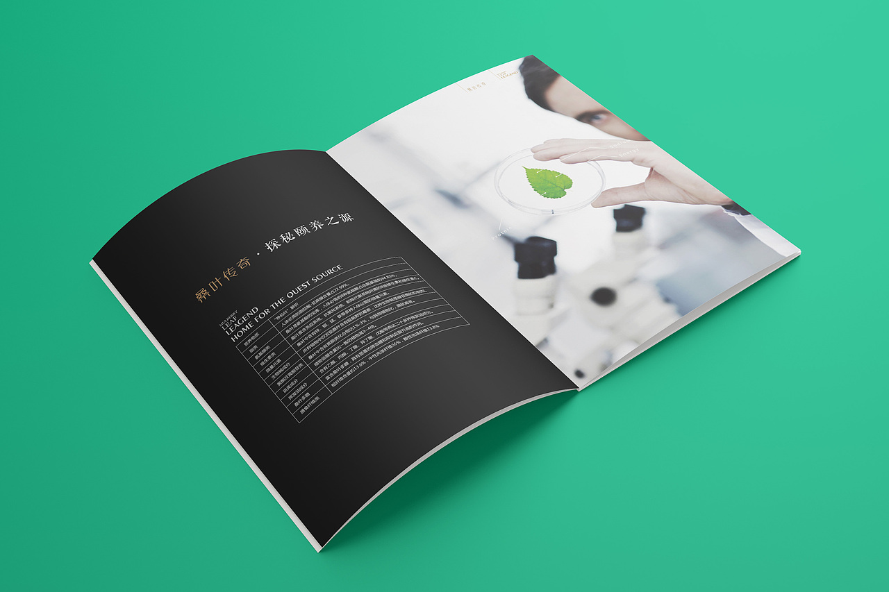 桑茶画册设计（图ZMTczODE0MDU2） - 书籍/画册 - 站酷设计师设计小臣原创素材 - 站酷ZCOOL