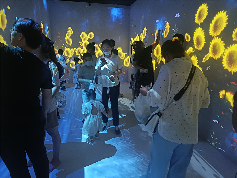 AR地面墙面互动投影软件花海出租多通道互动投影游戏