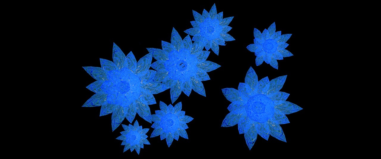 练习1
装置及影像练习