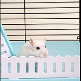 guanzaisunny的头像
