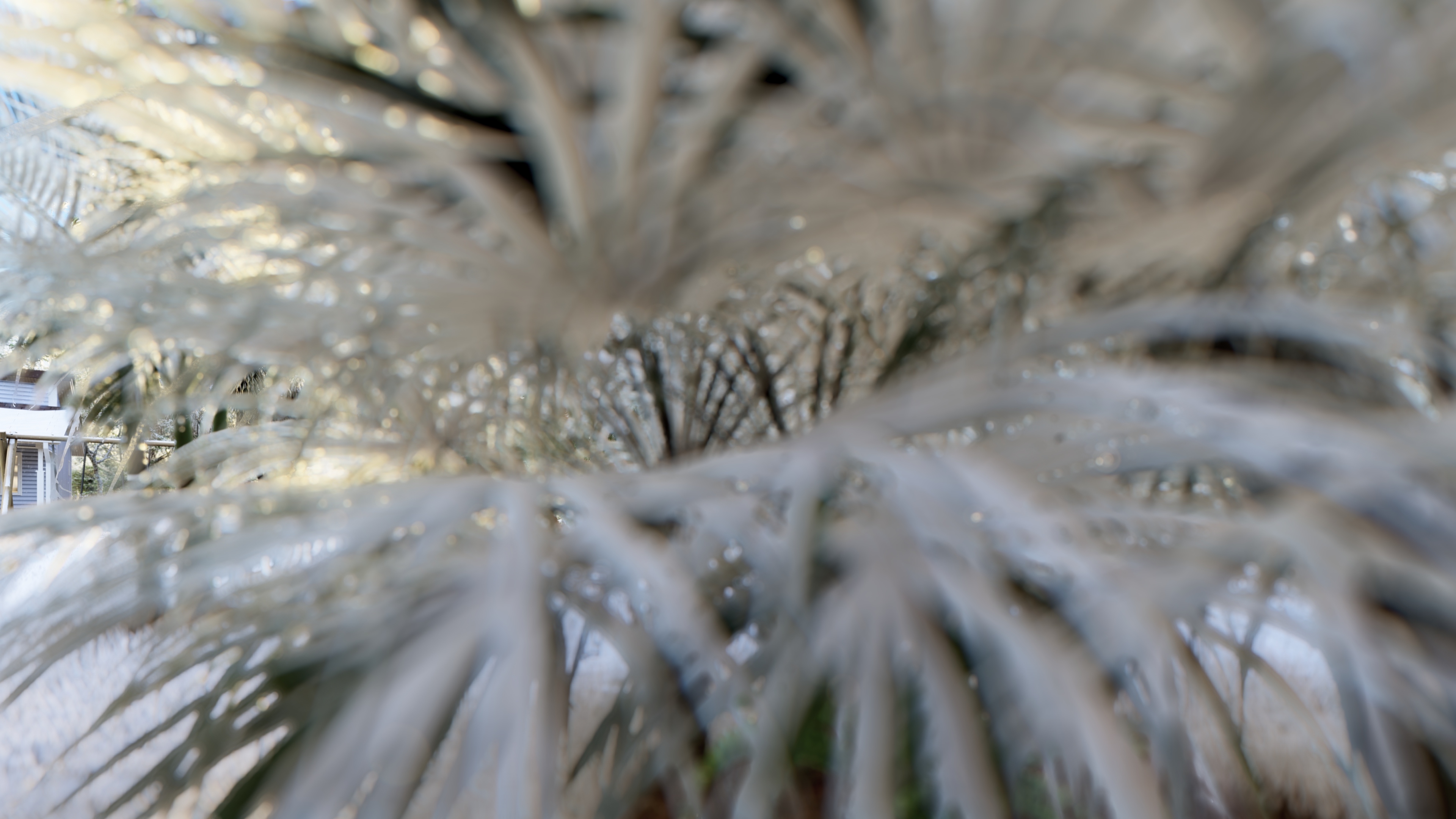 William妖刀的个人主页（封面预览） - 主页封面设置 - 站酷设计师William妖刀原创素材 - 站酷ZCOOL