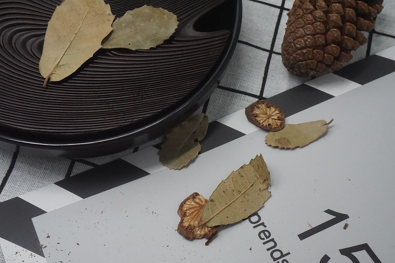 参数化茶盘设计