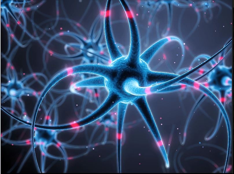 医学广告用 细胞连接动画