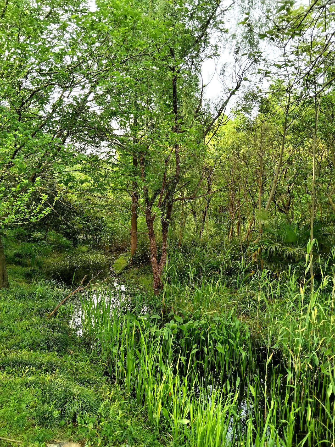 宝山.丰翔智秀公园