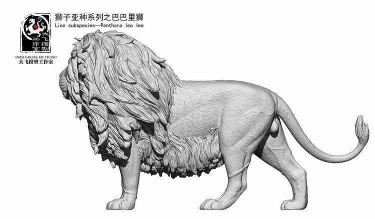 逝去的的王者——巴巴里狮。(图ZNjg4NTM4MDA=) - 手办/模玩 - 站酷设计师画画的大飞原创素材 - 站酷ZCOOL