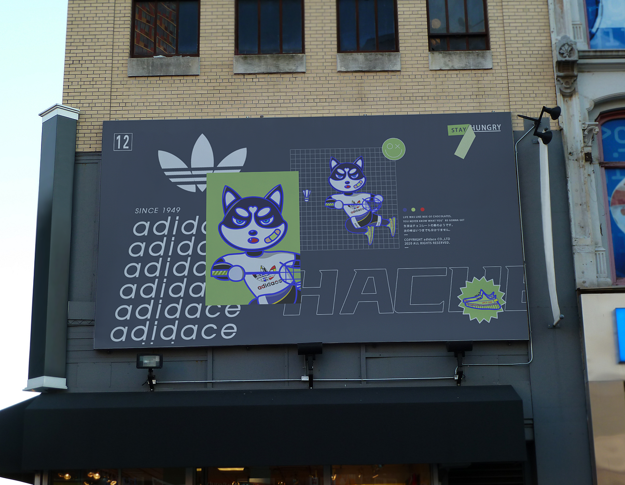 哈奇的运动世界