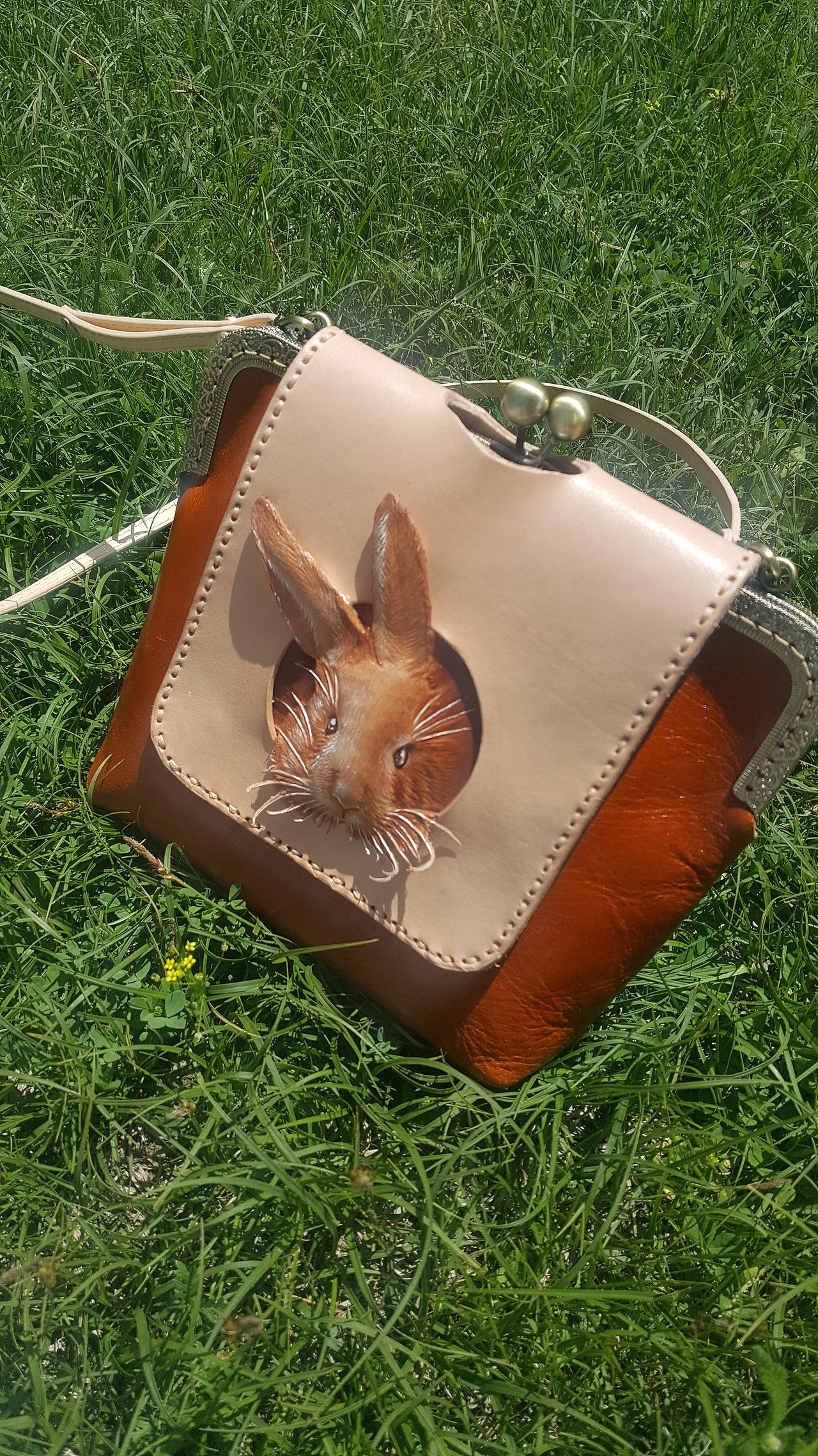 兔兔/豚鼠包出游记