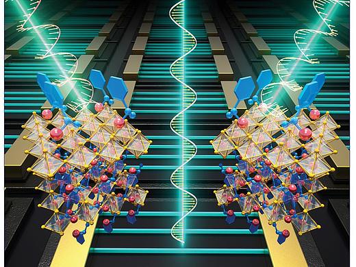 论文配图科研绘图sci杂志封面设计医学插画三维动画（个人主页-ZNTU4MTA4NzY=） - 其他三维 - 站酷设计师科学动画科研视频原创素材 - 站酷ZCOOL