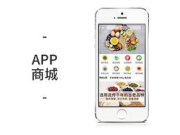 图标风格