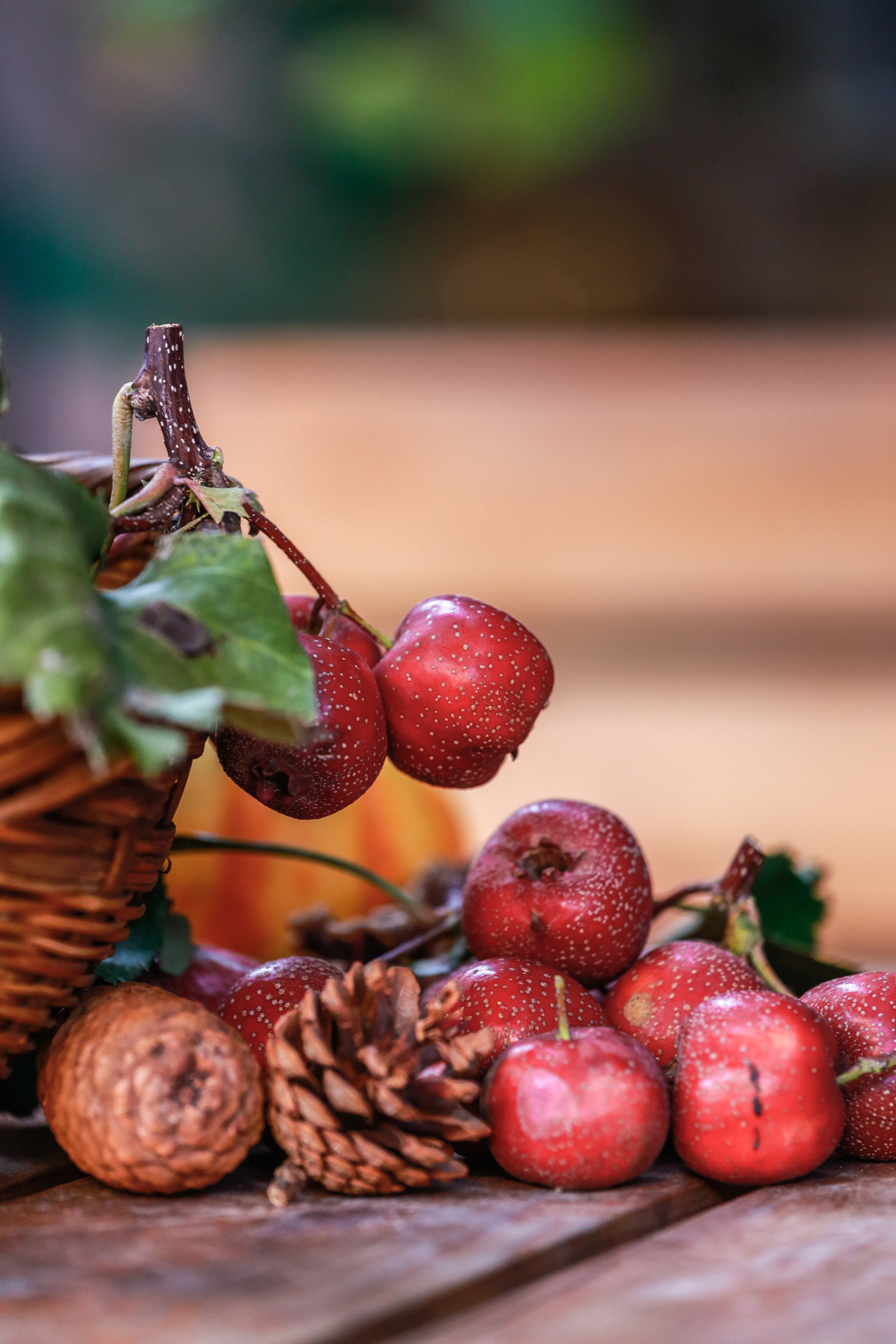 红果与南瓜的故事