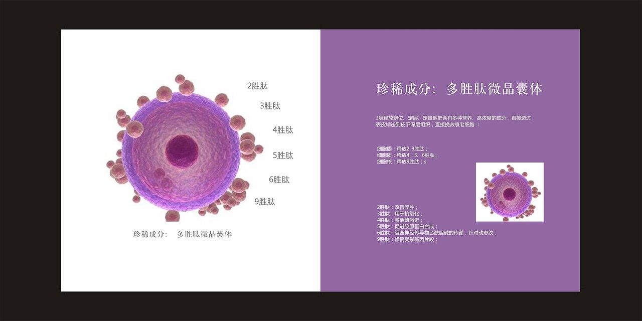 品牌手册,化妆品护肤品产品画册，形像手册，海报设计（图ZMTc0MzgwNzQw） - 书籍/画册 - 站酷设计师SOU品牌设计原创素材 - 站酷ZCOOL