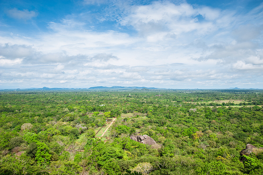 天空之城~Sigiriya Lion