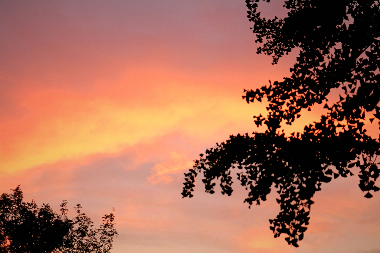 摄影（图ZMTc3NDUxNjgw） - 风光摄影 - 站酷设计师是星辰大海呀原创素材 - 站酷ZCOOL