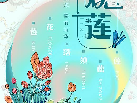 《观莲》