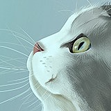 lveyu的头像
