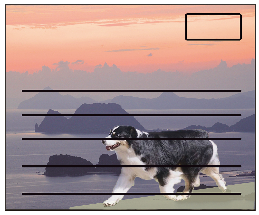 尝试——赛犬展示3