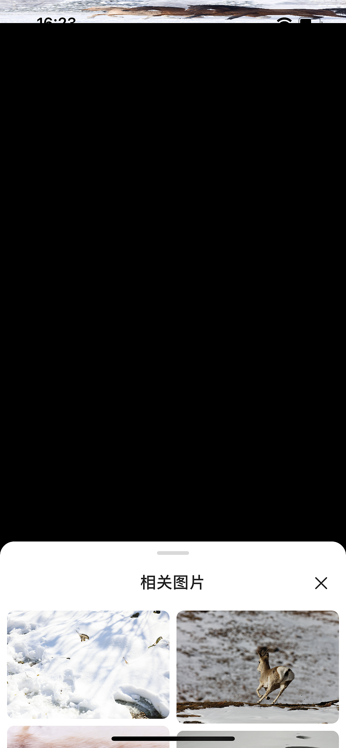 设计的基本要求（图ZMzcwMzYzMzQw） - 其他 - 站酷设计师接着去巡山原创素材 - 站酷ZCOOL