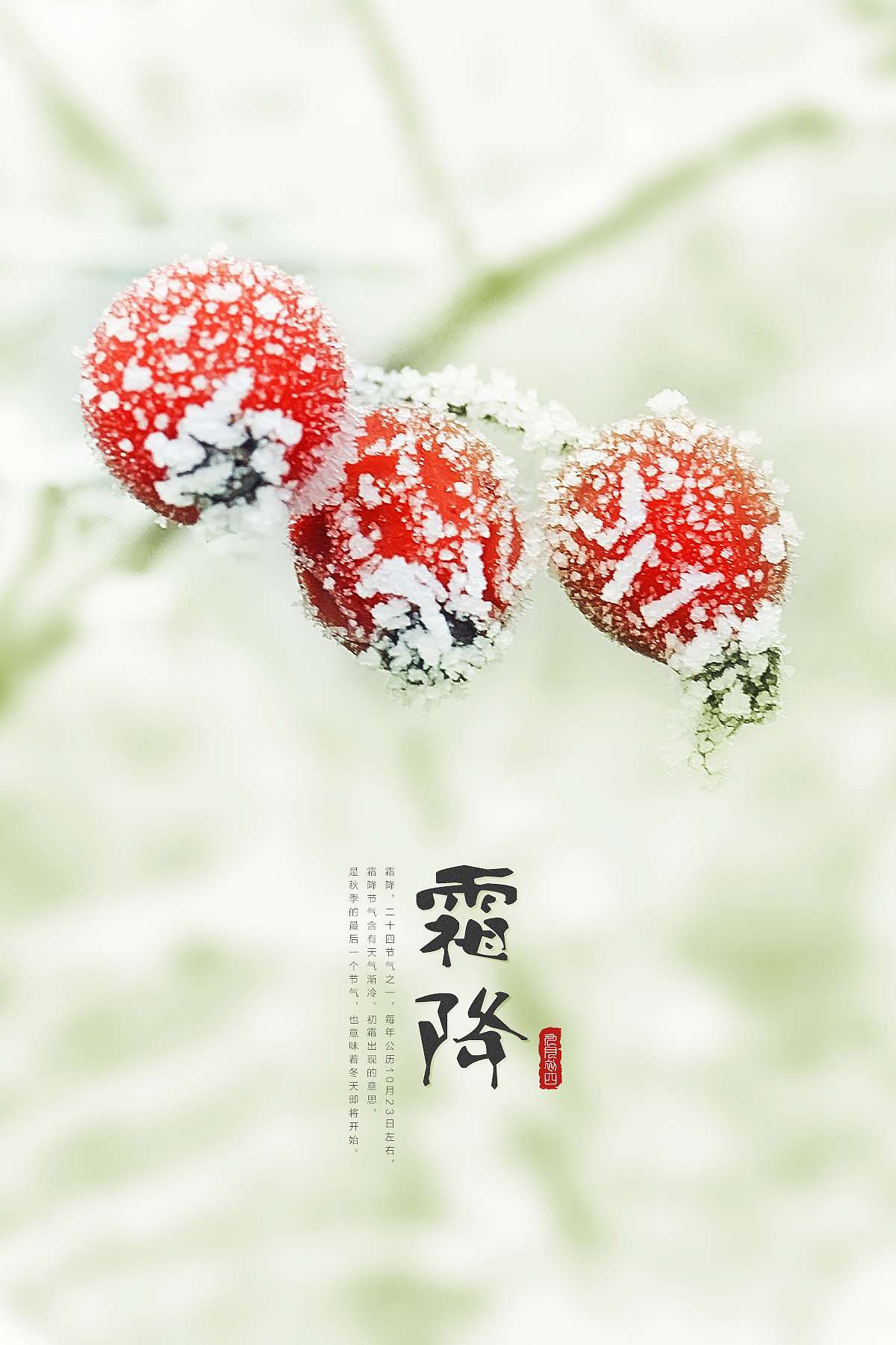 霜降（图ZOTQ3NzIzNTY=） - 电商 - 站酷设计师我在东关吃炸鸡原创素材 - 站酷ZCOOL