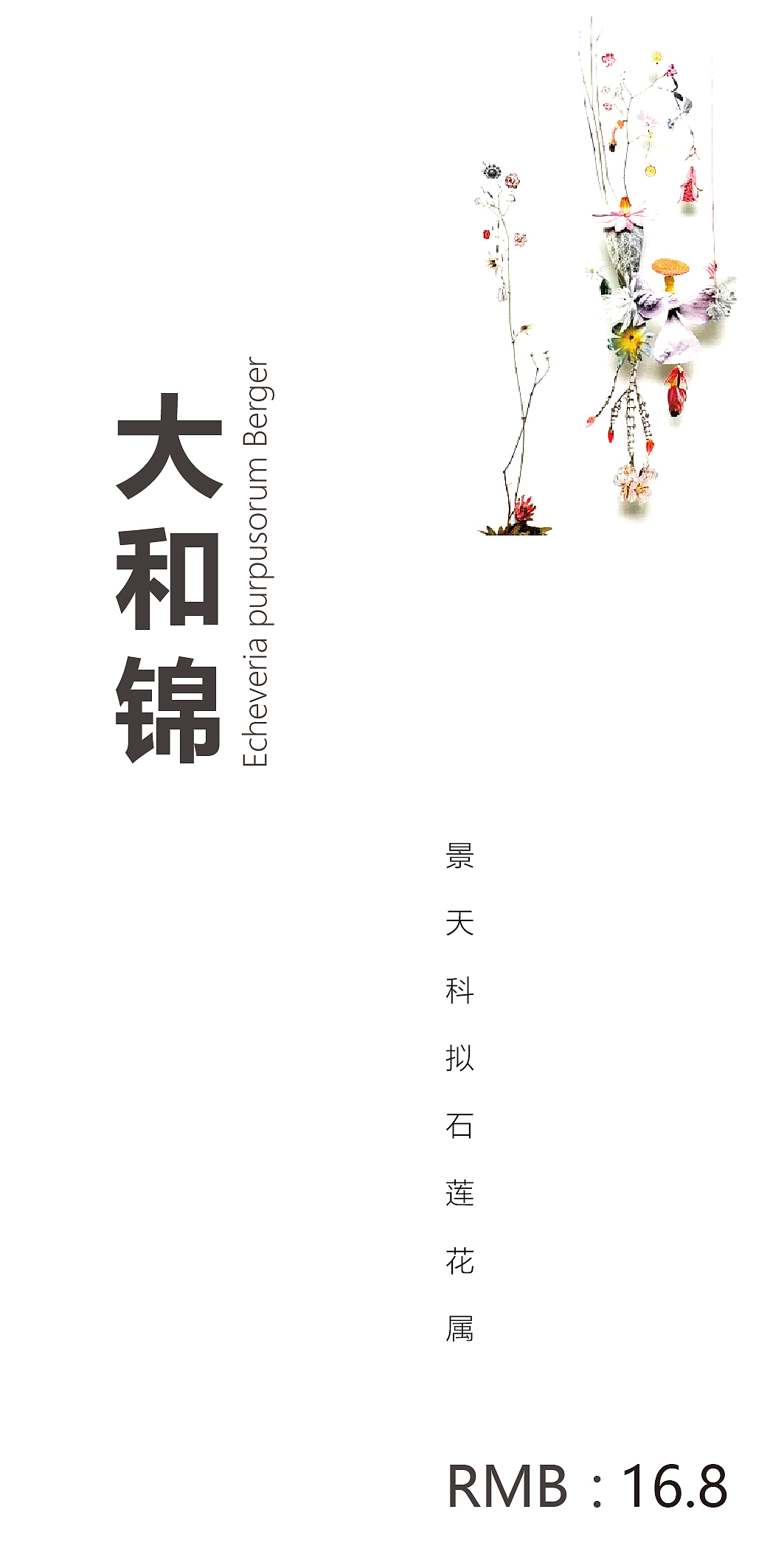 花店价目表小卡片设计（图ZMTQzNjI4Nzgw） - 其他平面 - 站酷设计师胡黑豆原创素材 - 站酷ZCOOL