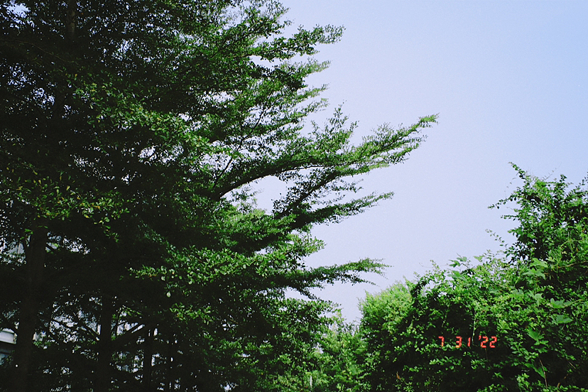 浪费的是，今天的风和我都漫无目的。