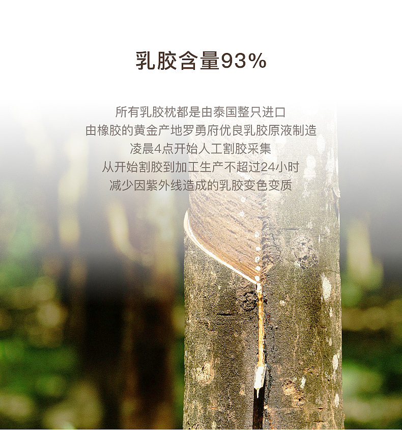 婷雅丽商城-乳胶枕详情页（图ZMjAwOTY0MjU2） - 电商 - 站酷设计师朝暮丨原创素材 - 站酷ZCOOL