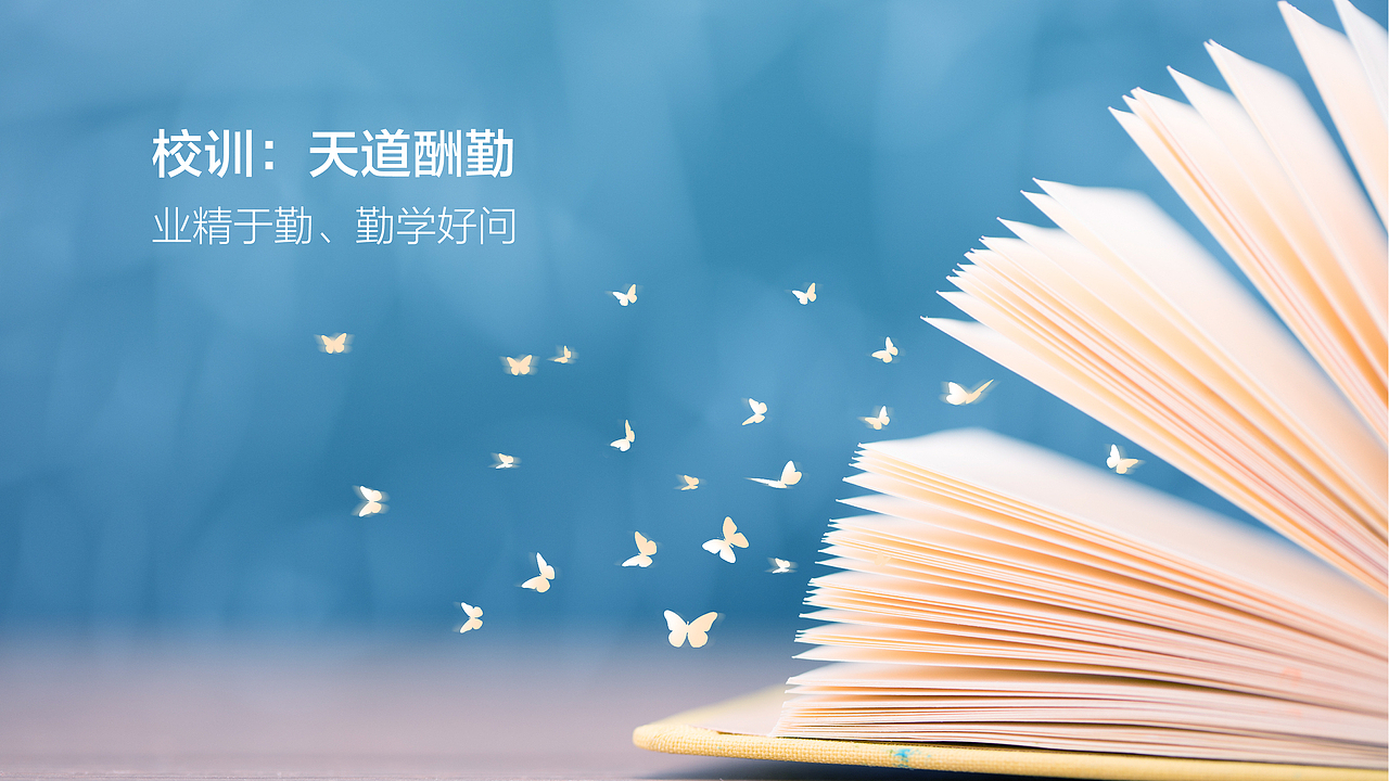 小学LOGO提案设计