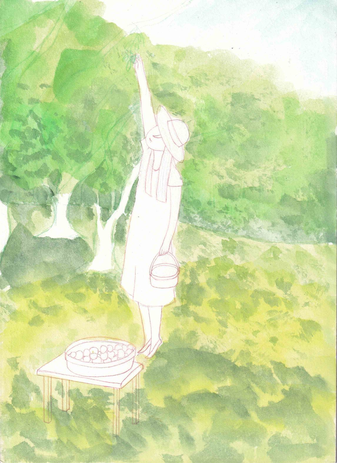 水彩插画《二十四节气—芒种》（图ZMzQ3MjM1ODMy） - 创作习作 - 站酷设计师潤子原创素材 - 站酷ZCOOL