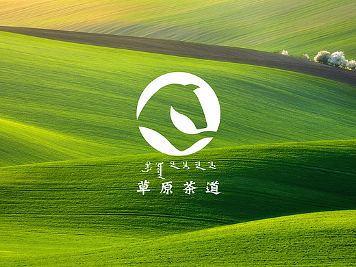 草原茶道LOGO提案