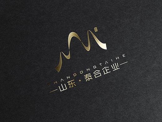 山东泰合企业logo