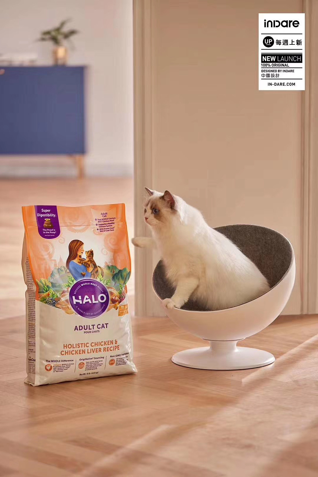 HALO x inDare | 品牌战略与营销传播