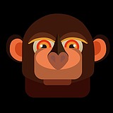 鹏翼Grit的头像