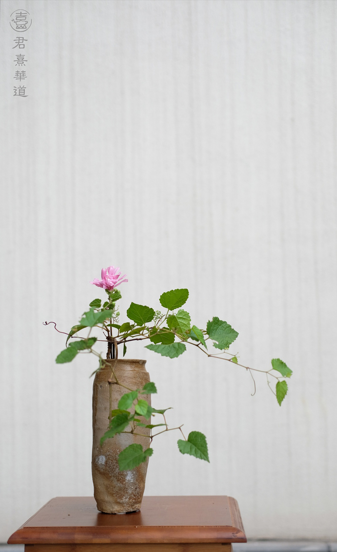 秋高气爽,赏月赏花