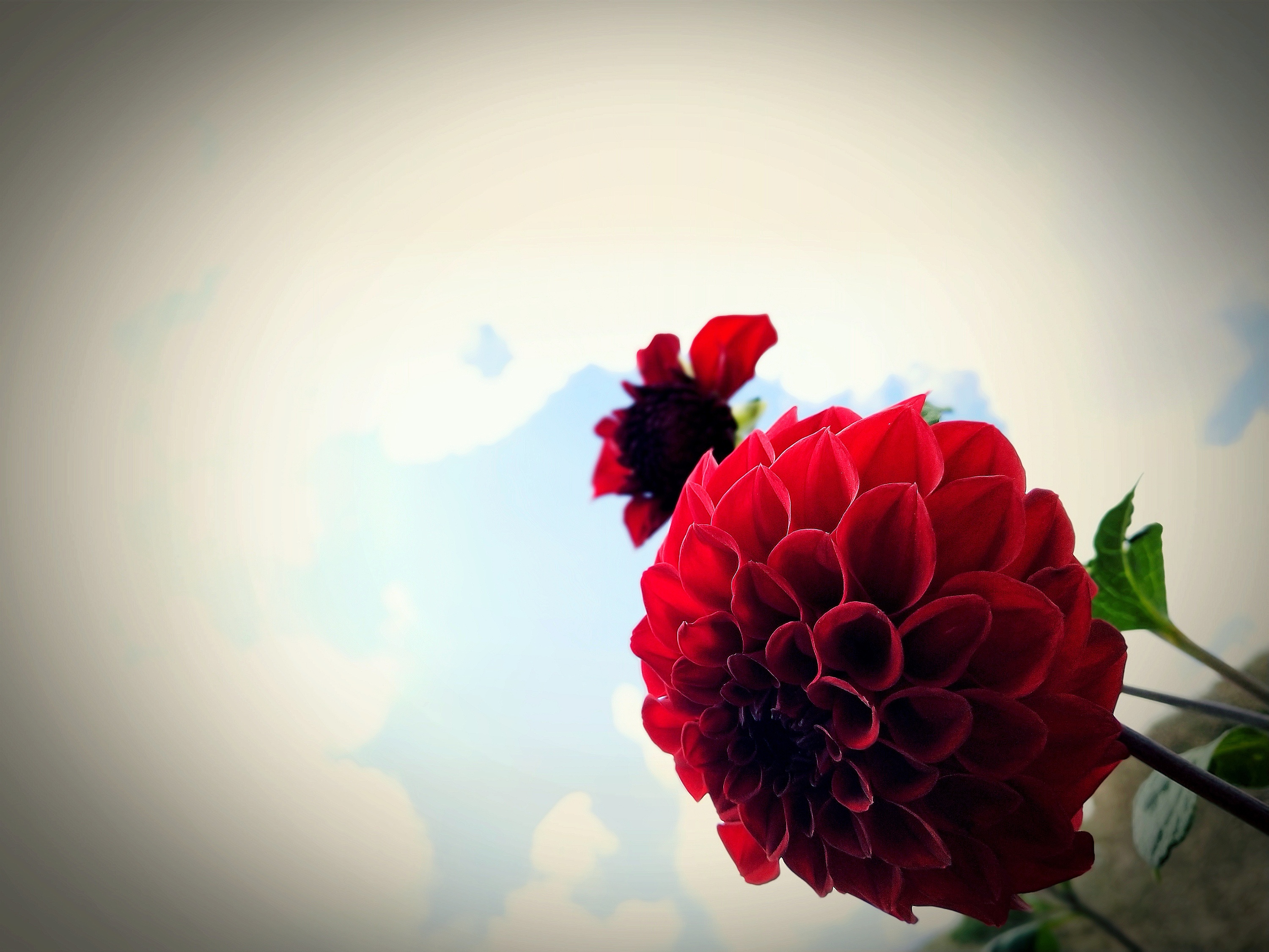 K16609400094的个人主页（封面预览） - 主页封面设置 - 站酷设计师K16609400094原创素材 - 站酷ZCOOL