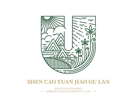 神草园绞股蓝——疯狂的铅笔头
