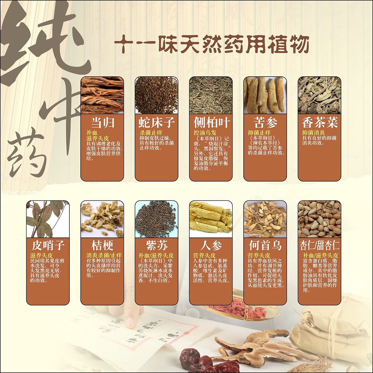 雅莲养发画册设计（图ZMTk2MjE0Mjc2） - 书籍/画册 - 站酷设计师海空间广告传媒原创素材 - 站酷ZCOOL