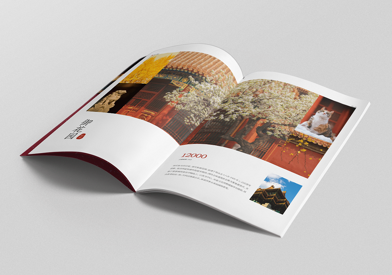 故宫画册（图ZMjI0MjM4OTMy） - 书籍/画册 - 站酷设计师大玲Daling原创素材 - 站酷ZCOOL