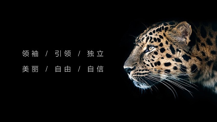 华领整形