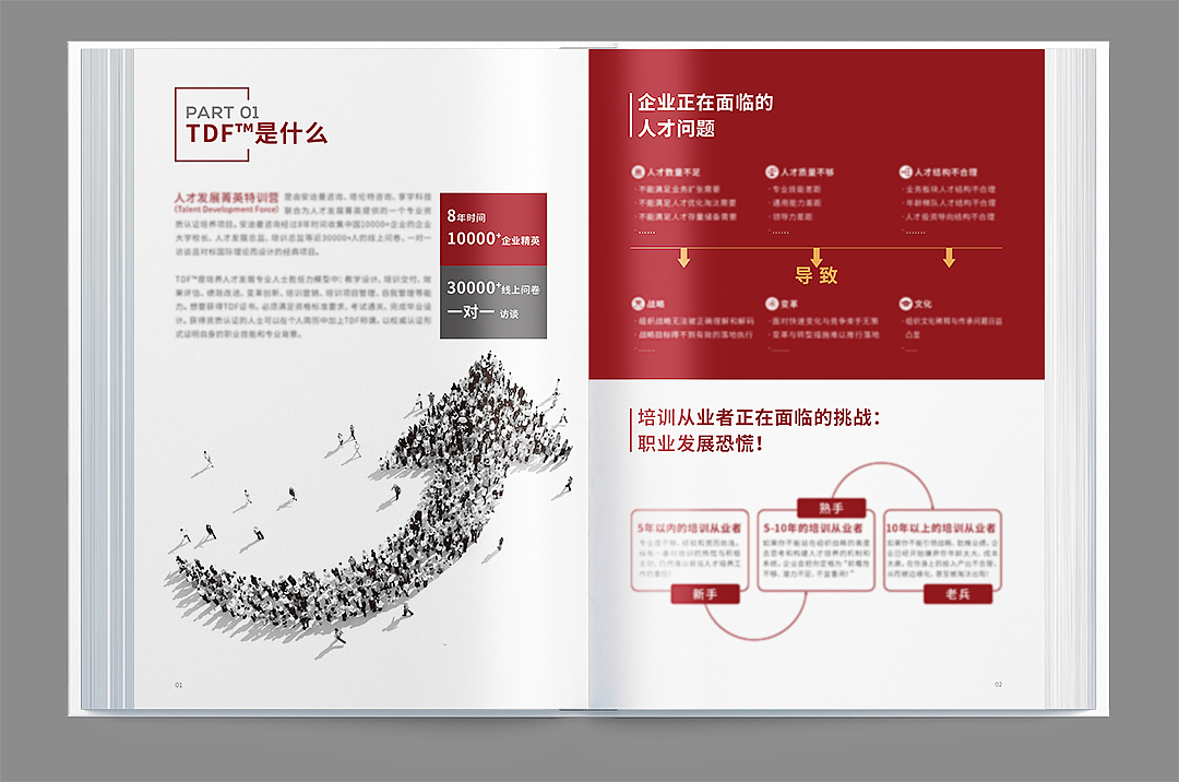 TDF画册设计（图ZMTc3NDU0NDg4） - 书籍/画册 - 站酷设计师2010550cxx原创素材 - 站酷ZCOOL