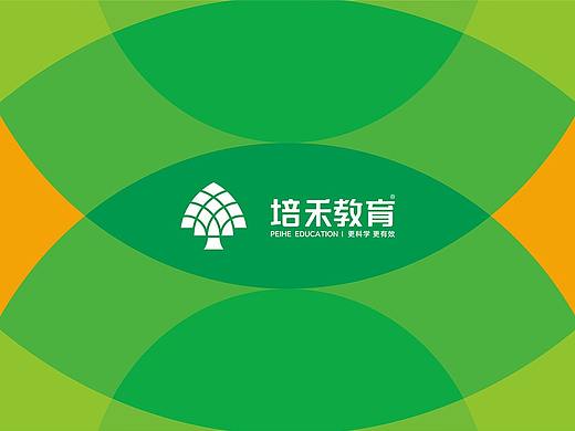 2020品牌设计作品集（01）