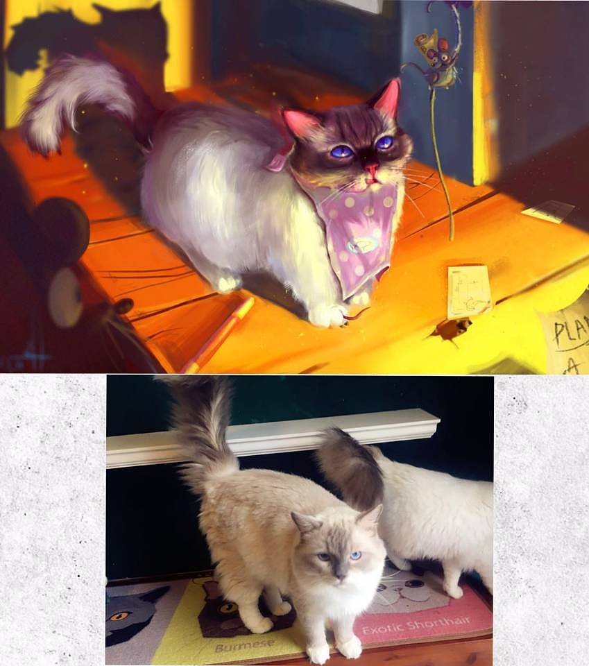 猫奴对画猫的理解（图ZNTg4ODExNTY=） - 创作习作 - 站酷设计师暖暖社社长原创素材 - 站酷ZCOOL