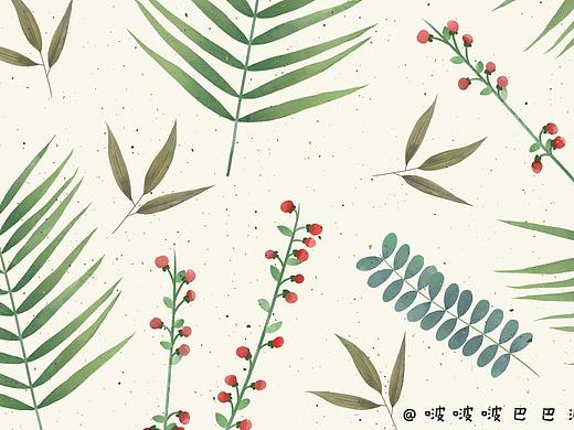 植物插画