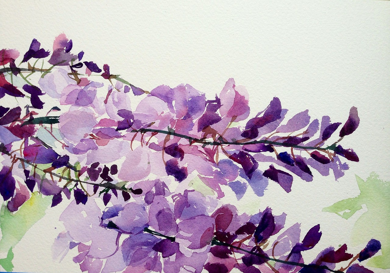 水彩插画全日班刘敬慈老师花卉作品（图ZMTgxMjIyODg=） - 创作习作 - 站酷设计师明天教室原创素材 - 站酷ZCOOL