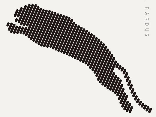 豹