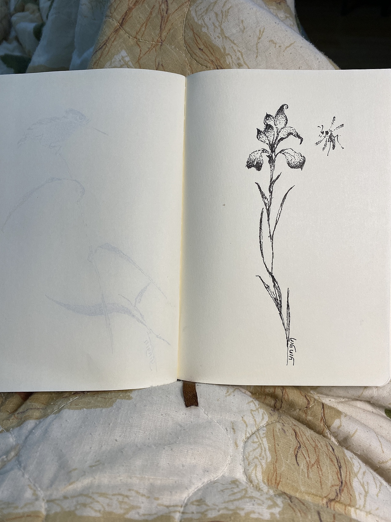 《针管笔点绘》（图ZMzgxOTA2ODE2） - 绘画 - 站酷设计师广州茵茵原创素材 - 站酷ZCOOL