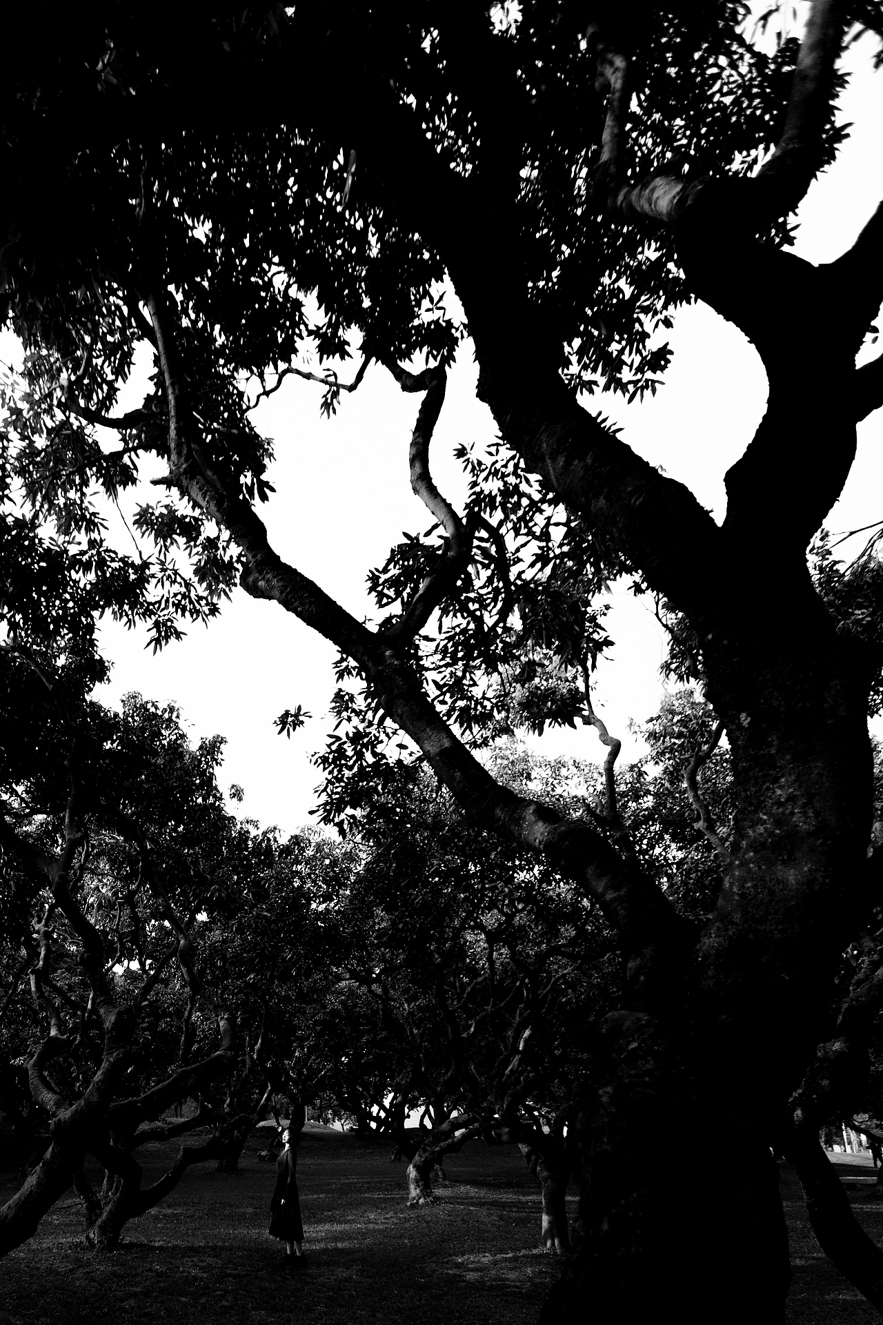 游走边缘（图ZMTQ2MzU0NjUy） - 人像摄影 - 站酷设计师AKiang1992原创素材 - 站酷ZCOOL