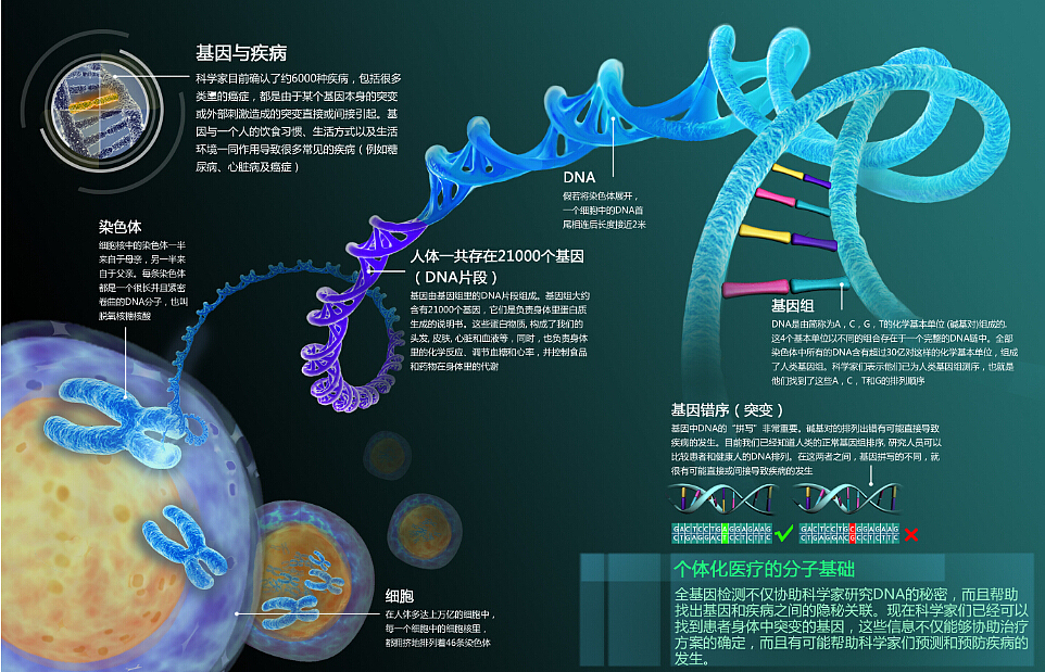x基因工程公司海报