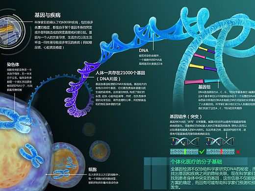 X基因工程公司海报